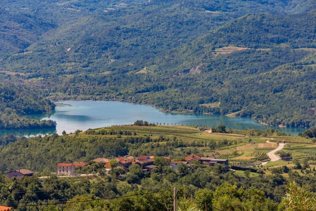 Pogled iz zraka na dolinu i jezero Butoniga okruženo vinogradima